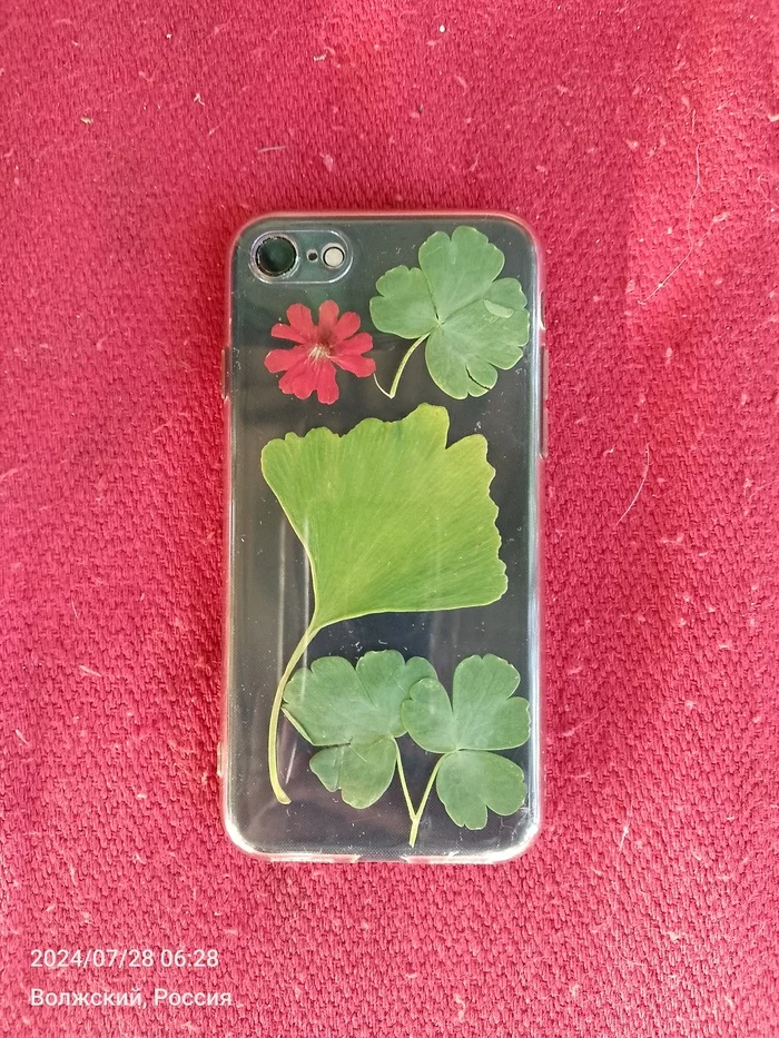 Case for wife) - Creation, Ginkgo, Case for phone