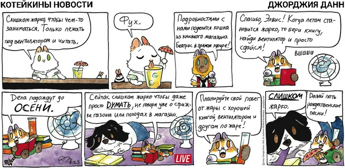 Koteykin News from 07/28/2024 - My, cat, Comics, Koteikin news (comic), Translation