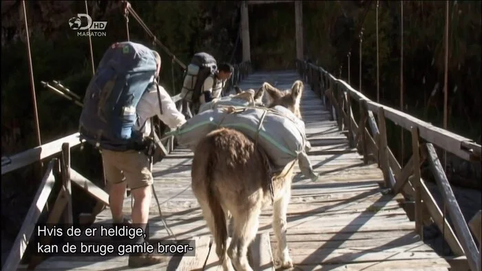 Ed Stafford's trek along the Amazon. The most distant source. Along the canyon to Cusco - Hike, Mountain tourism, Survival, The mountains, Nature, Peru, Ed Stafford, Camping, Longpost