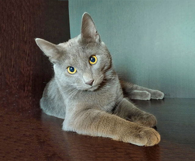 -  :          ,  , , , , , -,  , 