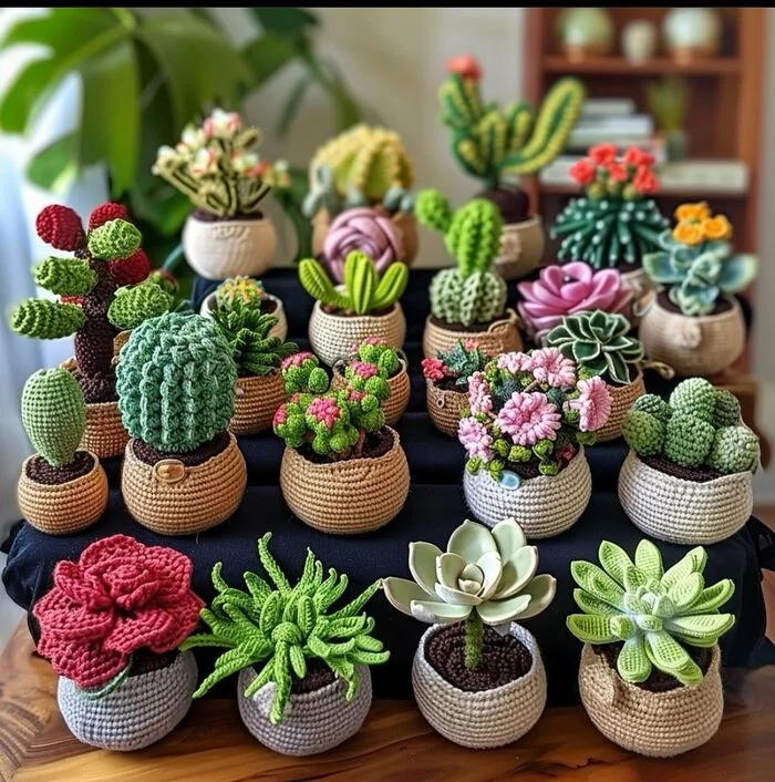 These definitely won't wither - Knitting, Creation, Needlework, Cactus, Houseplants, Decor, Succulents, Longpost