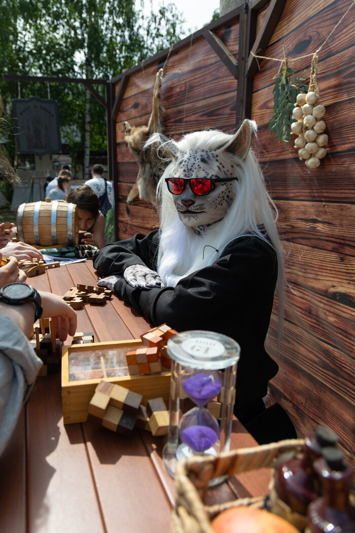 2024 - Эпик Кон - Каджит, Майк+ в таверне, у башни с драконом ( очень малую часть делал я)