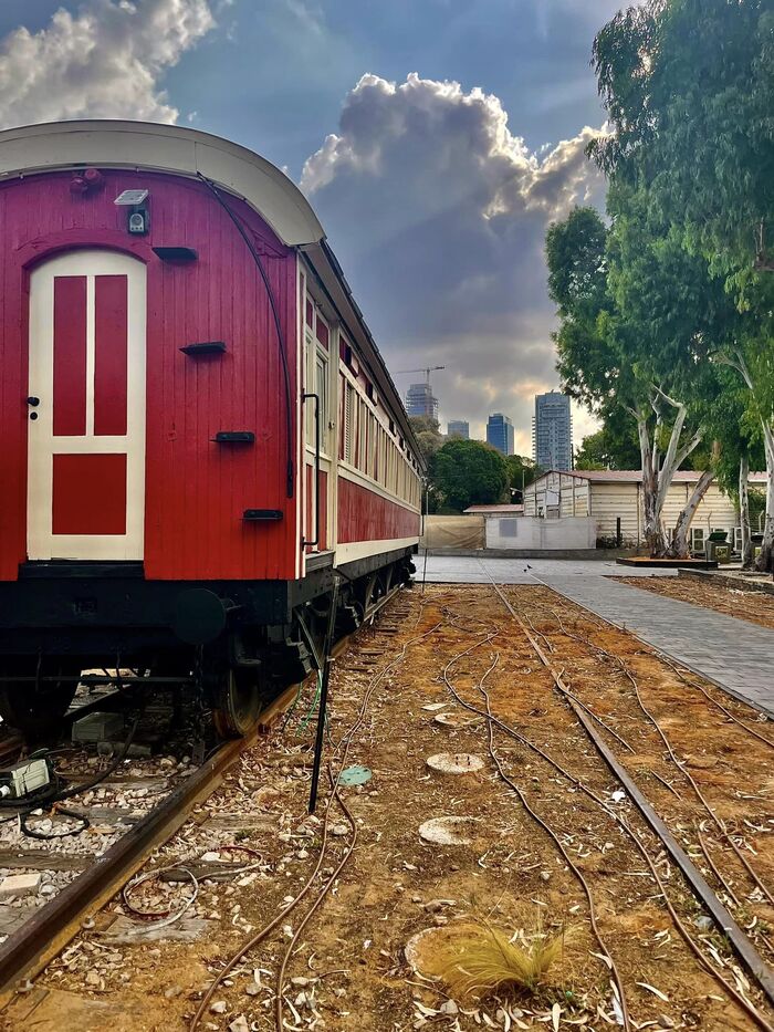 iPhone 12Pro + Snapseed.     .