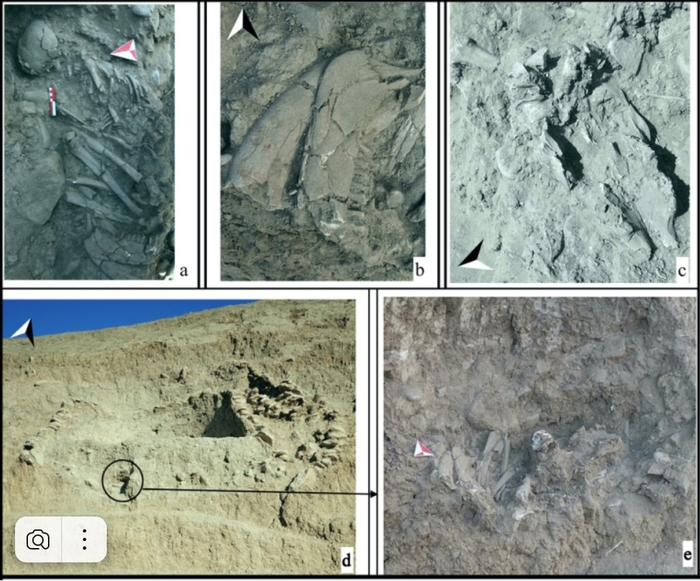Захоронения тела, которые ученые окрестили "шаманкой".