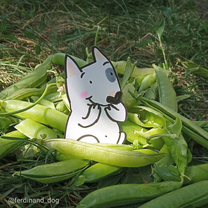 ����� ������ ����� ������� �������