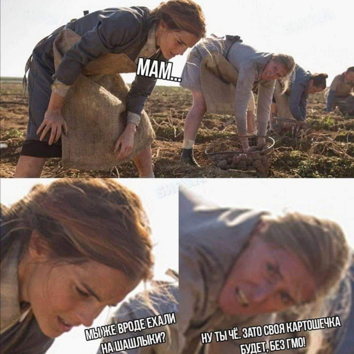 Скоро в каждом огороде