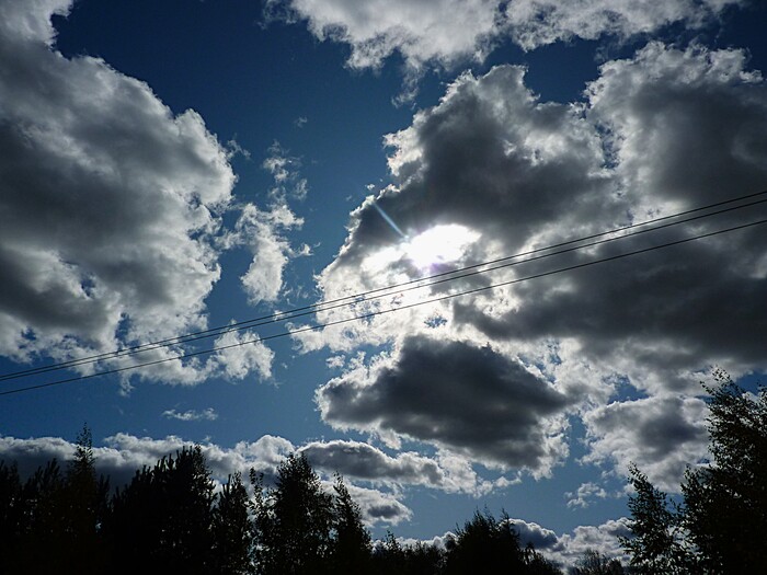 Перед грозой