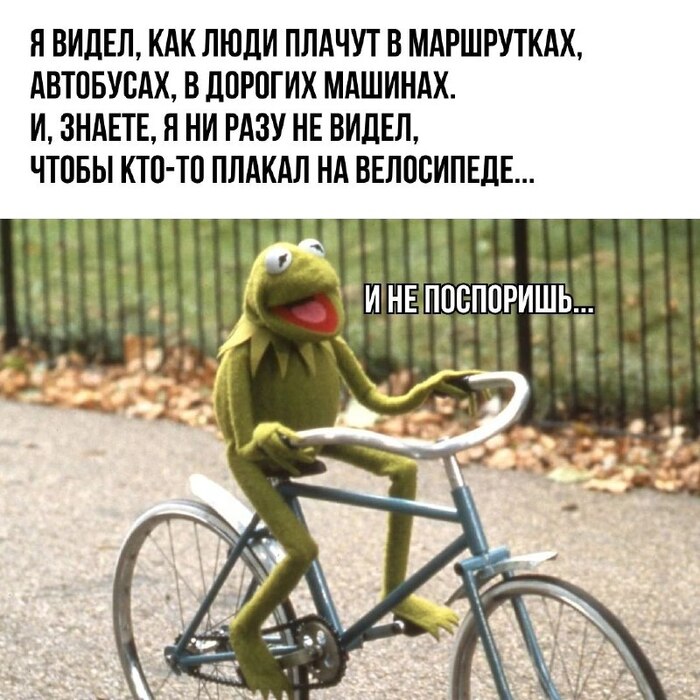 Можно ли стать счастливее, если купить велосипед? Отвечает искусственный интеллект