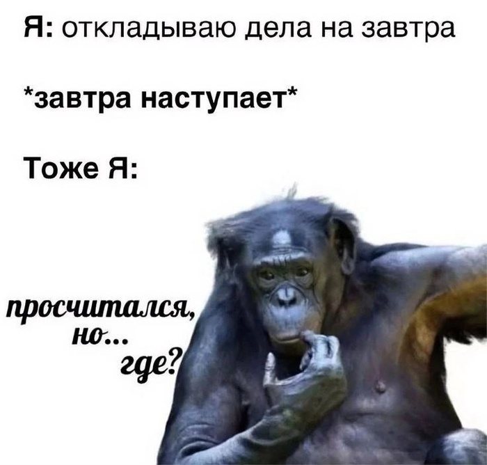 Когда пошел третий год неторопливой разработки своей инди-игры