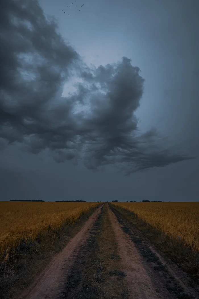 Steppe landscape - My, Landscape, Steppe, Field, Wheat, Clouds, Road, Chuvashia