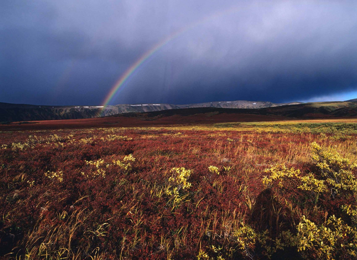 Rainbow