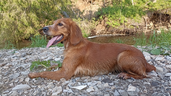 Нанырялась - отдохну