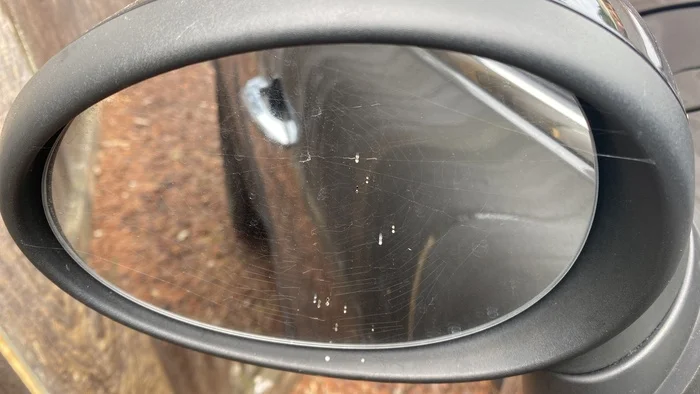 Spider's house - My, Spider, Auto, Mirror, Side mirrors, Web, The photo