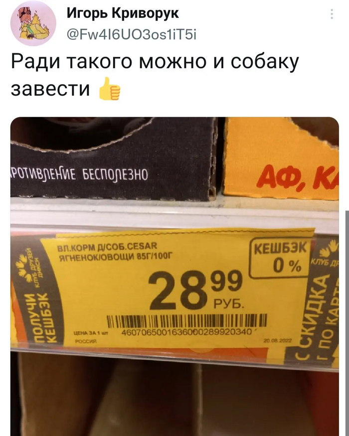 ������ ������)