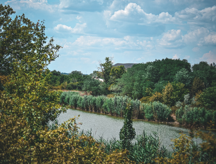 Не стала нервировать хладнокровных и крылатых и потопала обратно, по пути сделав еще несколько кадров.