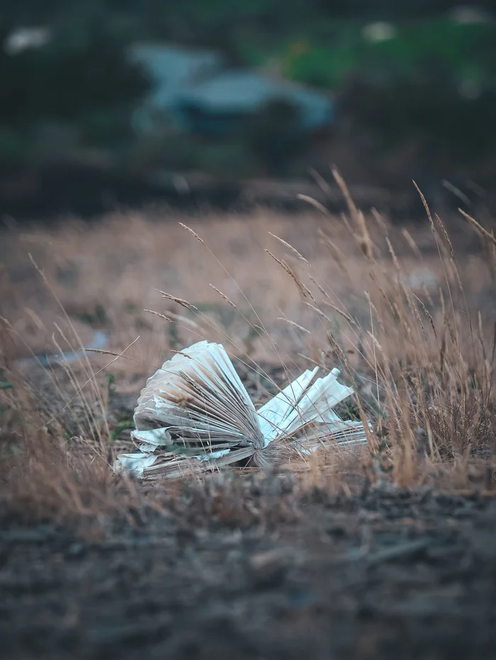 Abandoned valuables - My, The photo, Anthracite, Nikon d3100, Books, Longpost