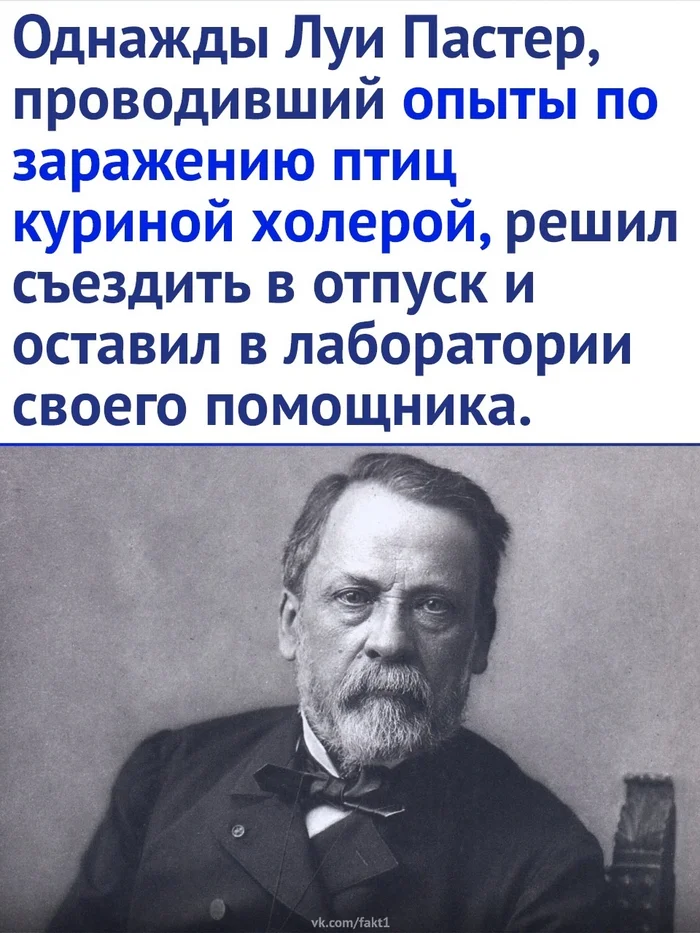 Интересно получилось - Наука, Холера, Картинка с текстом, Ученые, Длиннопост, Луи Пастер