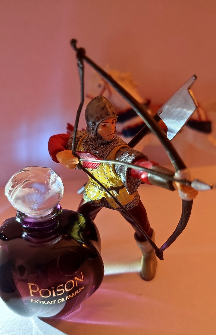    , , , , , , ,  , 
