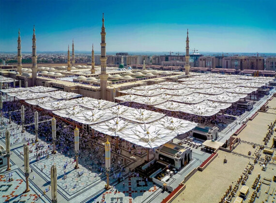 Механические зонты, вид сверху