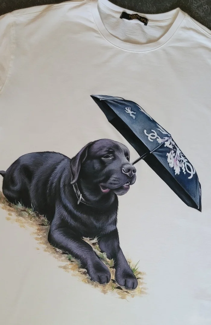 Hand-painted T-shirt, portrait of a Labrador - My, Corgi, Brooch, Longpost