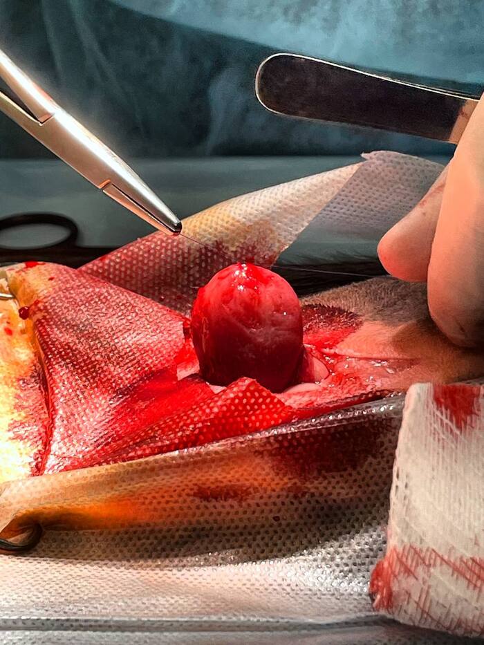 ������� �� ������������ ��� ����� �����