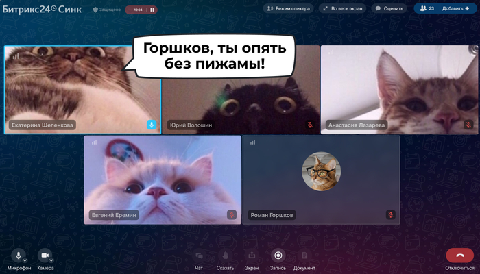  :  ,        , ,  ,  , 