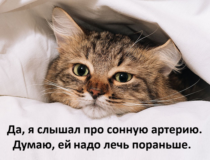  ? ...