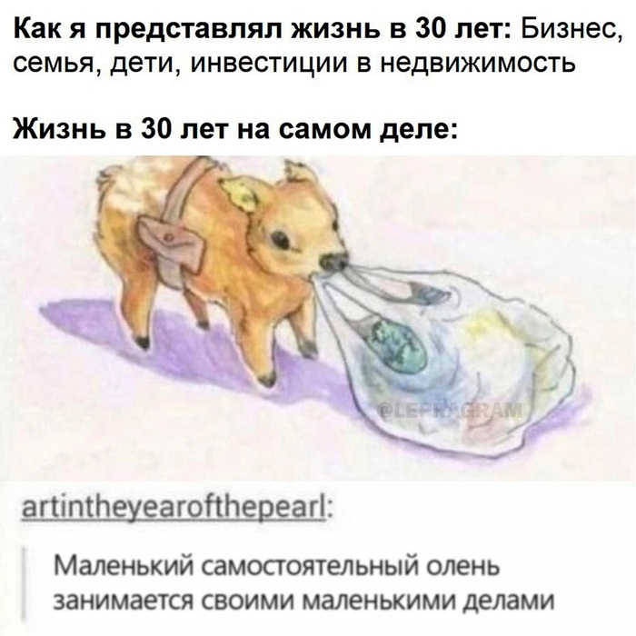   ,   , 