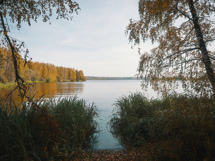 Умиротворение