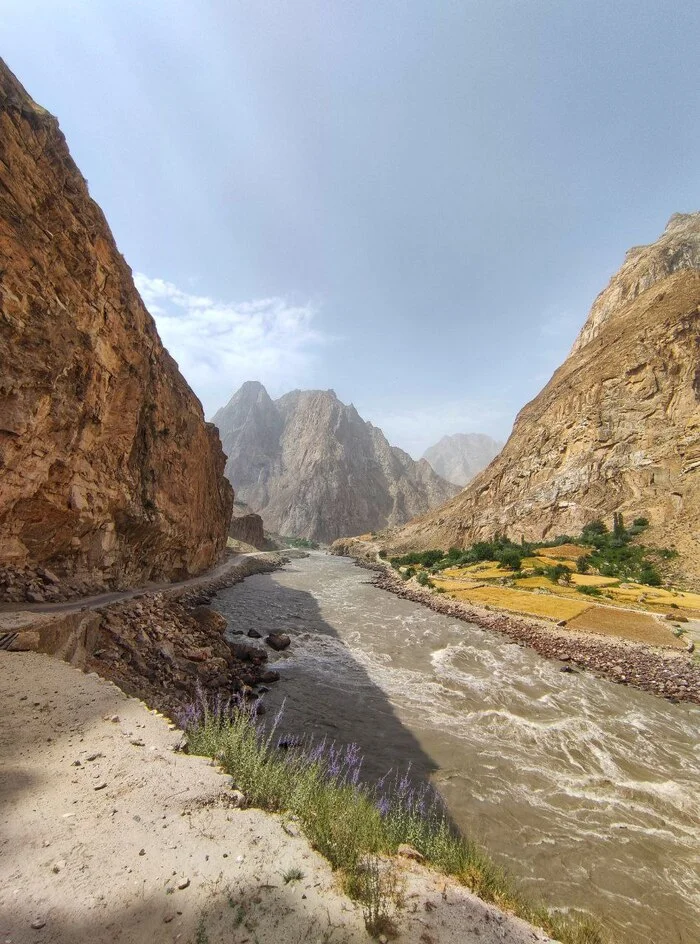 Across the entire Pamirs and Central Asia by bike! 3500 km + Day 26. Still on the road - My, Hike, A bike, Travels, Asia, Central Asia, middle Asia, Tajikistan, Pamir, Summer, Relaxation, cat, Vacation, Mountain tourism, Туристы, Camping, Longpost