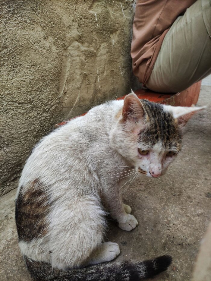 �������, �� ����������!