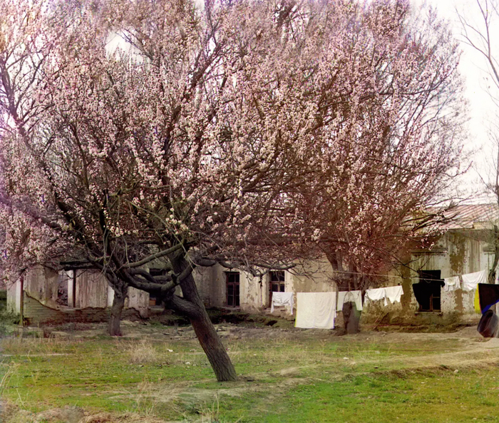   (). , 1905-1915,   -