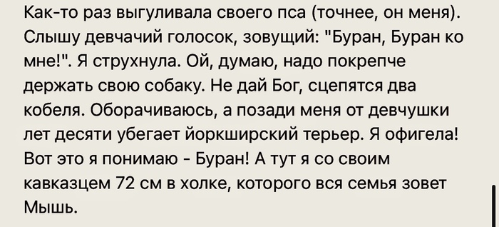 Буран и Мышь