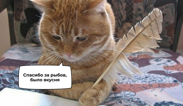 ��������, � ����� �������� � �������� ������������ ����� ���� ��������� ������