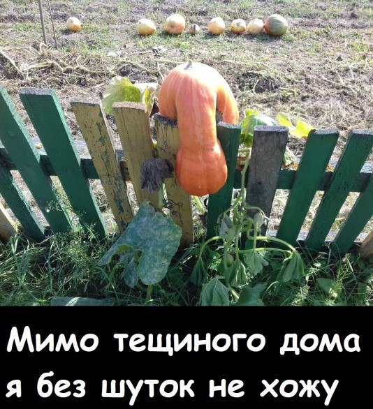    ?)