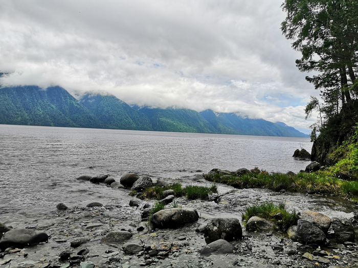 ����� ������� ������