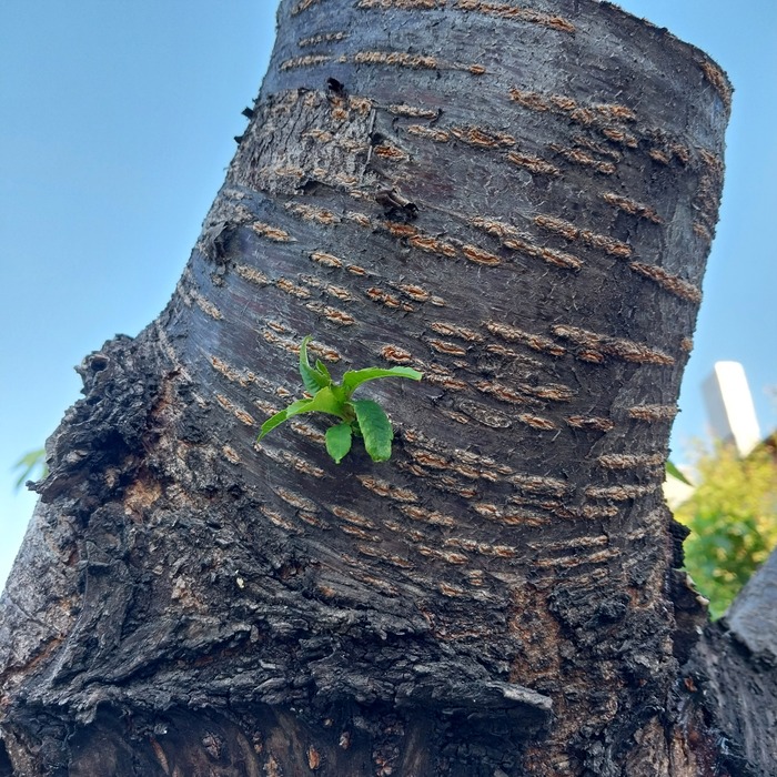          ? , !       ,    .     .