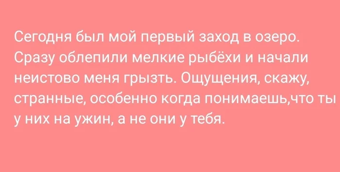 Когда ты - ужин - Моё, Озеро, Республика Алтай, Телецкое озеро, Рыба, Еда, Ужин, Деликатес, Длиннопост