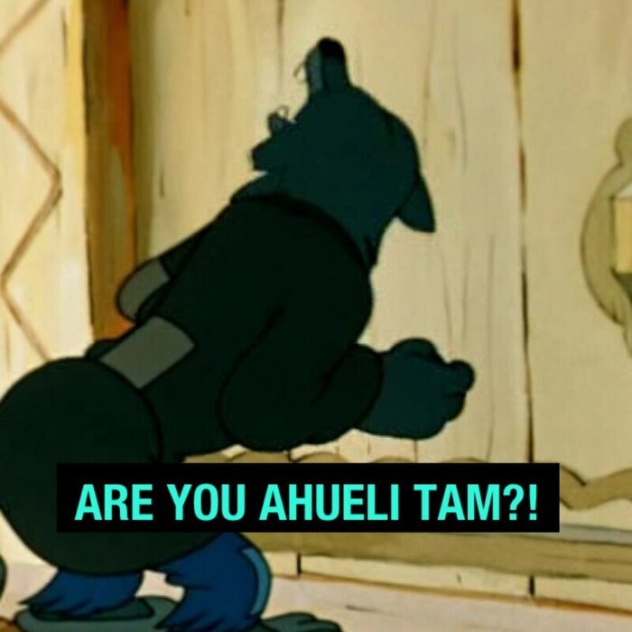 -, are you ahueli tam?  , -, , , ,  ,  , , , 