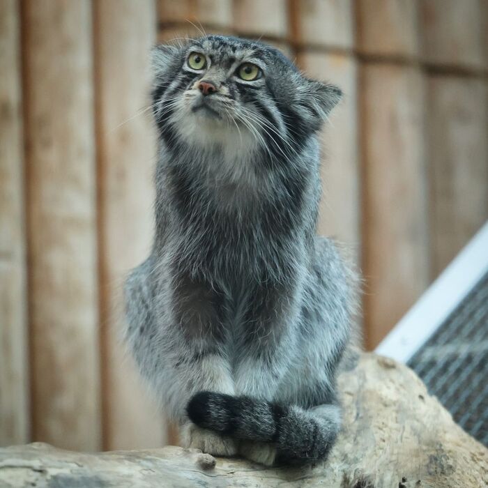 �� ����� �� �� ��������?