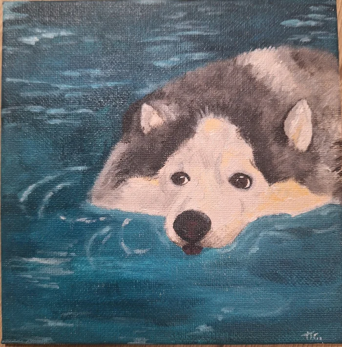 Let's sail towards Friday - My, Creation, Acrylic, Needlework without process, Canvas, Decor, Husky, Dog, Water, Swimming, Paints, Animalistics