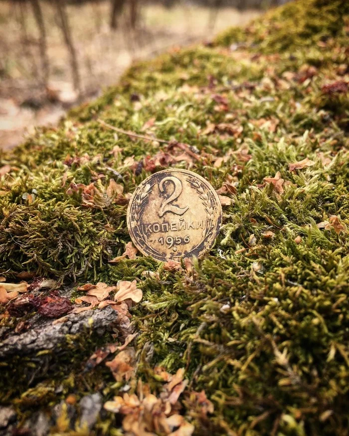 Beautiful “party gold” The era of Nikita Khrushchev’s reign - My, Coin, the USSR, Made in USSR, Metal detector, beauty, The photo, Find