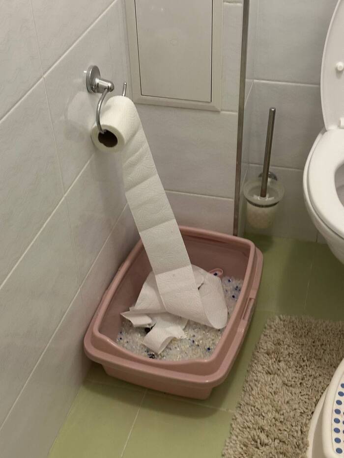      ,   , , , 