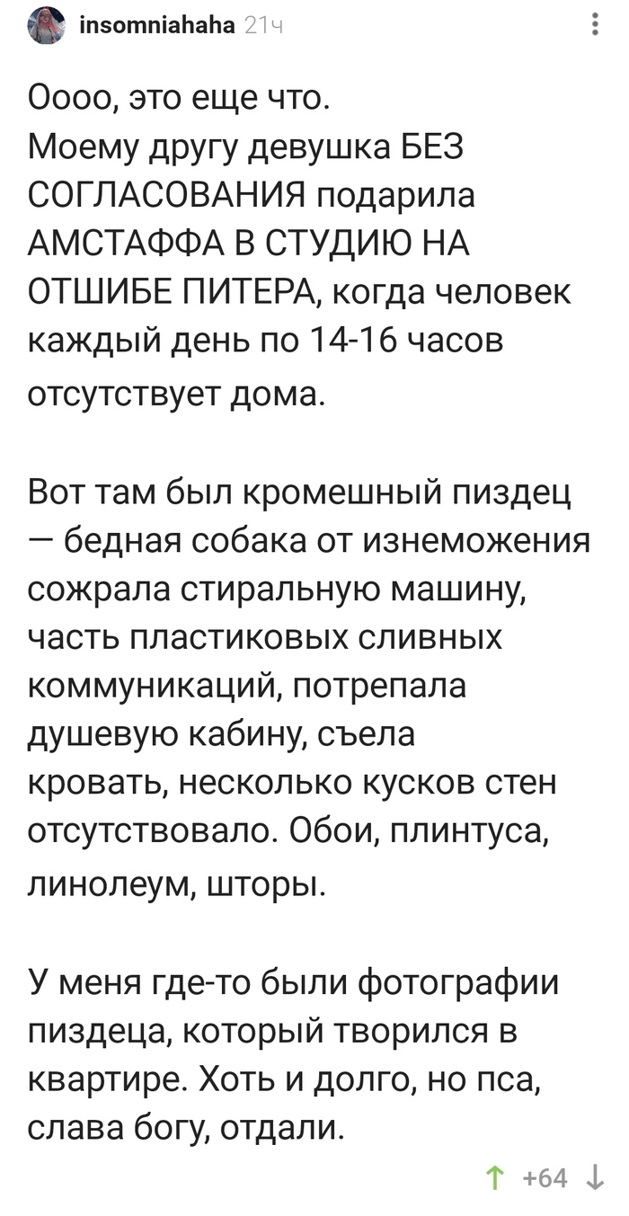 Как можно дарить животных без согласования?