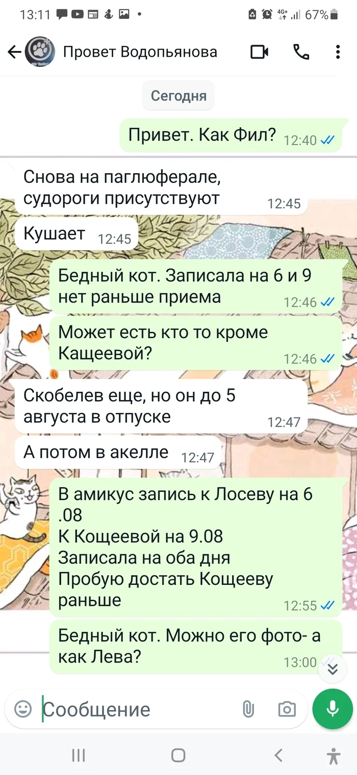 Продолжение поста «Парализованый кот. Брошен под дверью...» - Моё, Красноярск, Брошенные, Спасение, Черный кот, Длиннопост, Кот, Паралич, Нервная система, Ветеринарная клиника, Приют для животных, Помощь животным, Видео, Ответ на пост, Волна постов