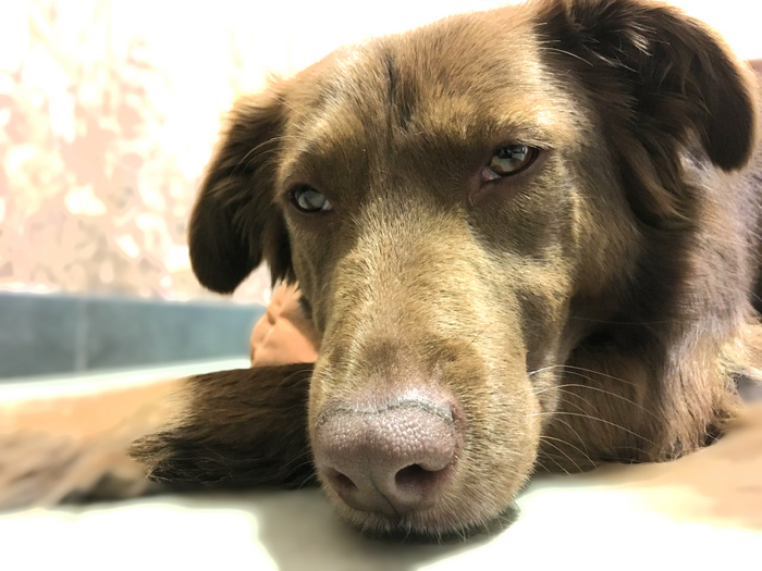 Ушла в себя, буду не скоро...