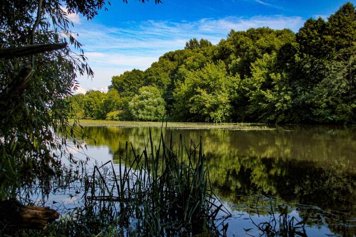 Безмятежность