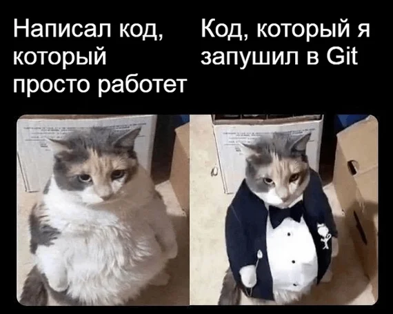 Элегантный кот - Reddit, IT юмор, Программирование, Кот, Рефакторинг, Git, Картинка с текстом