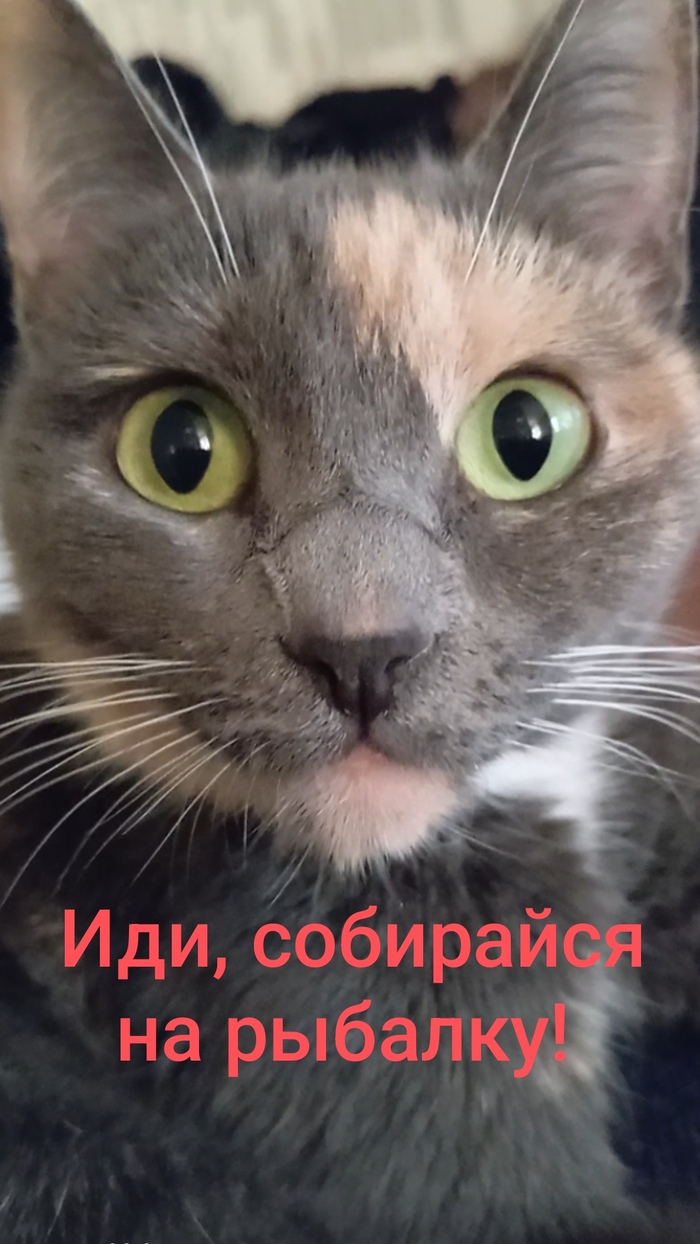    ,   , , , 
