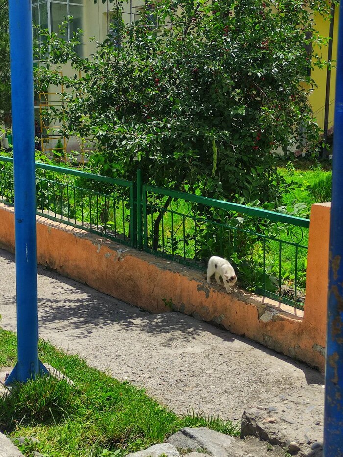 ����� ��������� ��������!